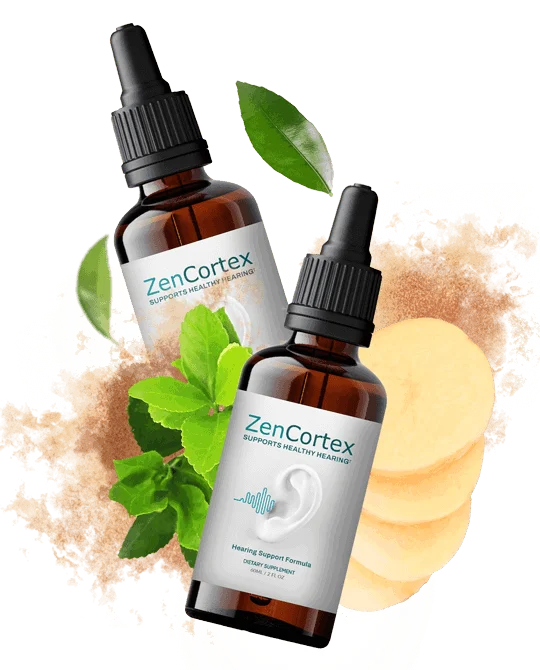  ZenCortex